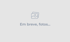 VW - VolksWagen Polo 1.6 Mi/S.Ouro 1.6 Mi Tot.Flex 8V 5p 2011 Flex